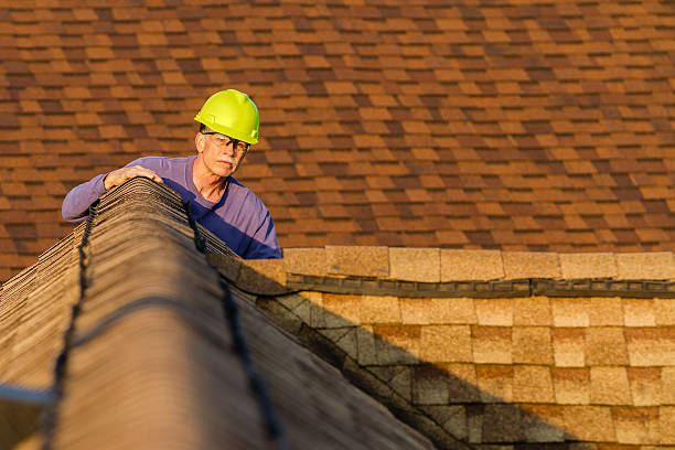 Best New Roof Installation  in Federalsburg, MD